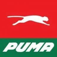 Logo Puma Energy Zambia Plc
