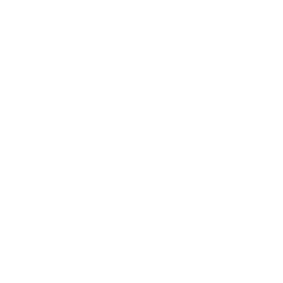 Logo D&G Technology Holding Company Limited