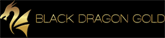 Logo Black Dragon Gold Corp.