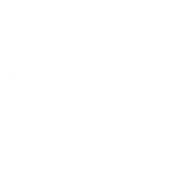 Logo Windsor Machines Limited
