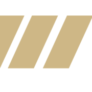 Logo White Gold Corp.