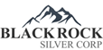 Logo Blackrock Silver Corp.