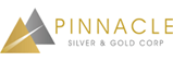 Logo Pinnacle Silver and Gold Corp.