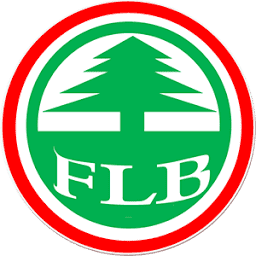 Logo Focus Lumber