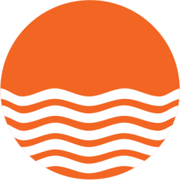 Logo The Bank of Punjab