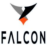 Logo Falcon Pe Holdings LLC