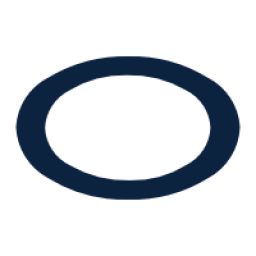 Logo Orion Capital Managers Ltd.