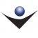 Logo National Institute of Business Management