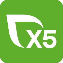 Logo X5 Retail Group NV
