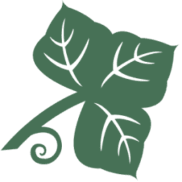 Logo Camp Kudzu