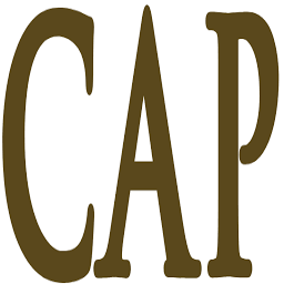 Logo Chicago Area Project