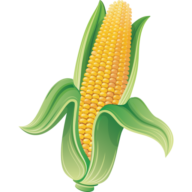 Logo Iowa Corn Growers Association