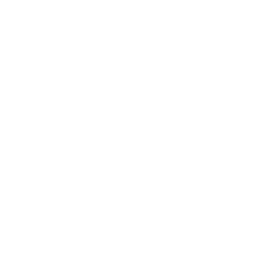 Logo Alternative Capital Management AG