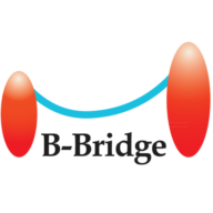 Logo B-Bridge International, Inc.