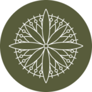 Logo Australian College of Natural Medicine Pty Ltd.