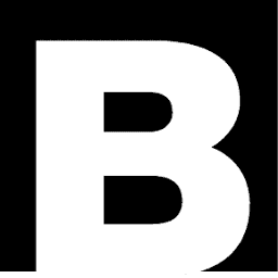 Logo The Boldt Group, Inc.