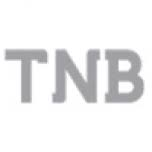 Logo The National Bank (Palestine)