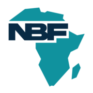 Logo Nepad Business Foundation