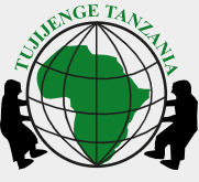 Logo Tujijenge Tanzania Ltd.