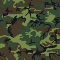 Logo Tennessee Military Department (United States)