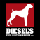 Logo Diesel Fuel Injection Service, Inc