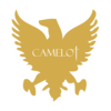 Logo Camelot Portfolios LLC