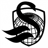 Logo Swan Capital Management LLC
