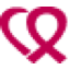 Logo Braster SA