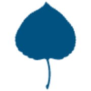 Logo Aspen Institute Mexico