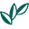 Logo MicroTech Medical (Hangzhou) Co., Ltd.