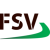 Logo FSV Group AS