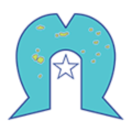 Logo Torres Strait Island Regional Council