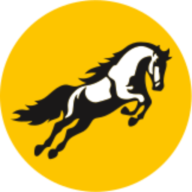 Logo Tembo Global Industries Ltd.