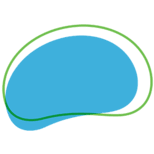 Logo Brainsway, Inc.