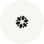 Logo Blueberries Medical Corp.