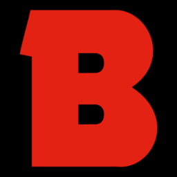 Logo Beal Developments Ltd.