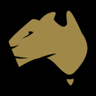 Logo Panther Metals Ltd.