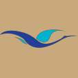 Logo Soc Potez Aeronautique SAS