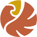 Logo American Eagle Gold Corp.
