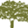 Logo Bayou District Foundation