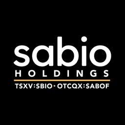 Logo Sabio Holdings, Inc.