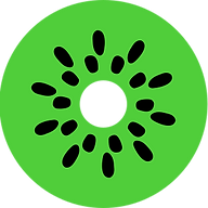 Logo Smart Kiwi Ltd
