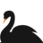 Logo Black Swan International Ltd.