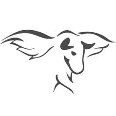 Logo MEGA Sp zoo